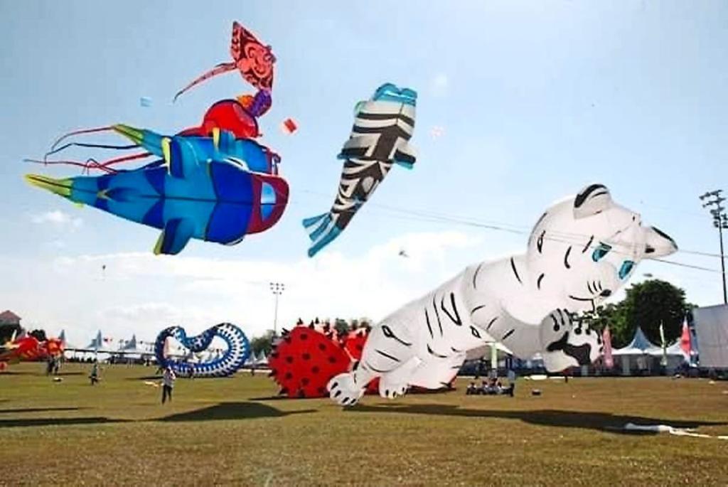 Pasir Gudang World Kite Festival in Johor set to attract 350,000